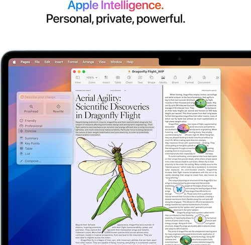 Apple MacBook Air M4 (13-inch)